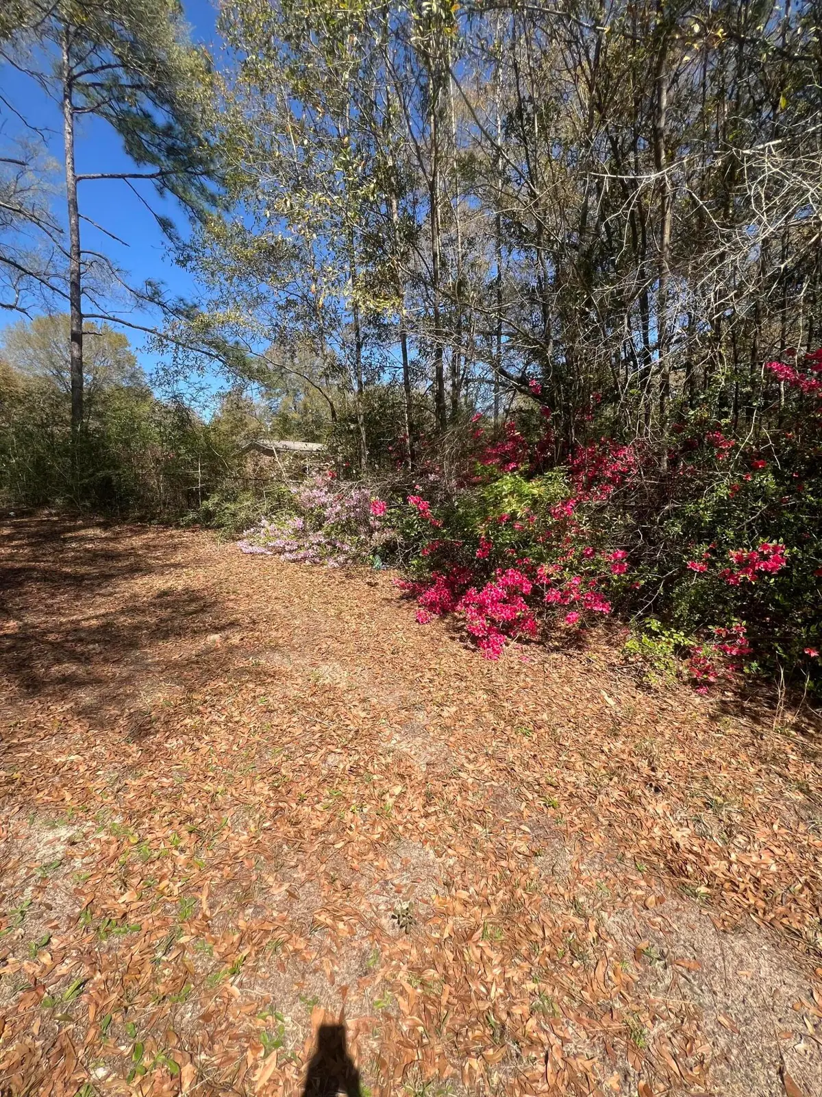 1721 W Highway 90, Baker, FL 32531 - #1