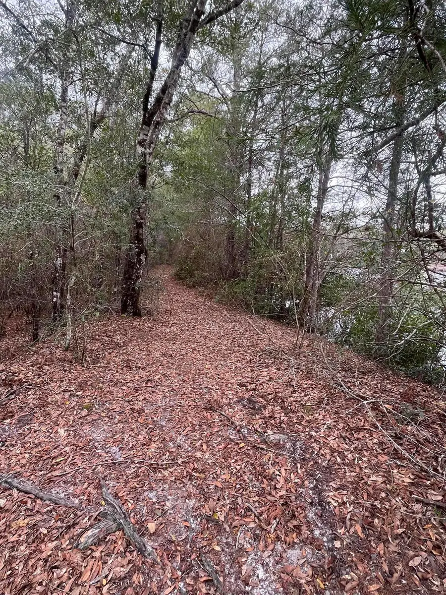 TBD Leisure Lane, Holt, FL 32564 - #2
