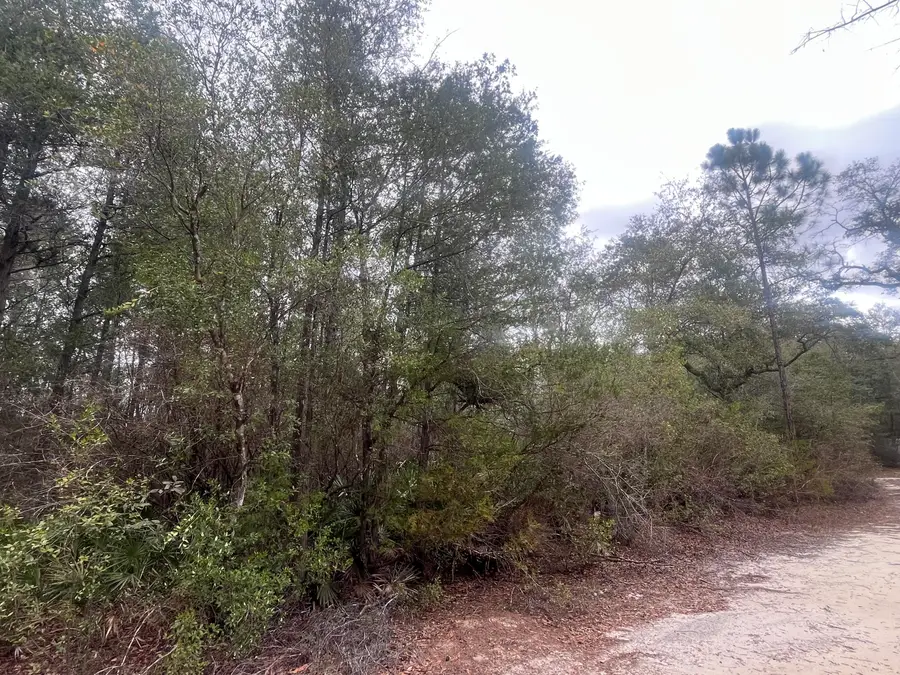 TBD Leisure Lane, Holt, FL 32564 - #3