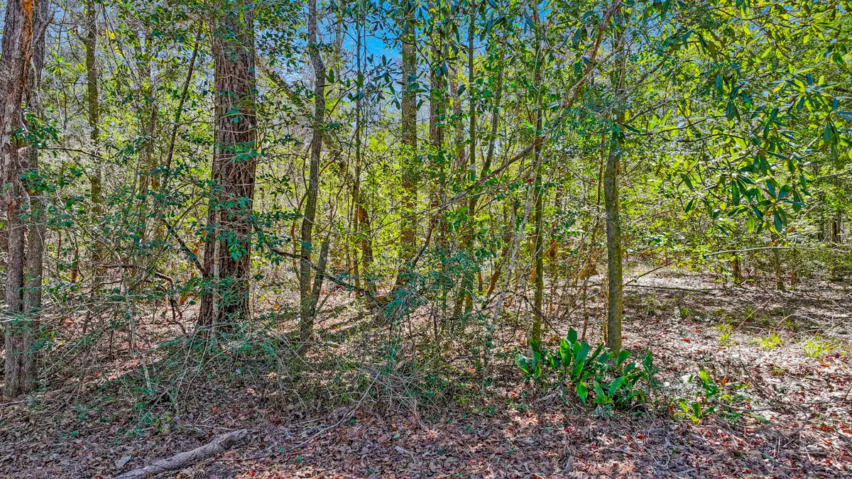 TBD Cedar Log Lake Road, Ponce De Leon, FL 32455 - #1