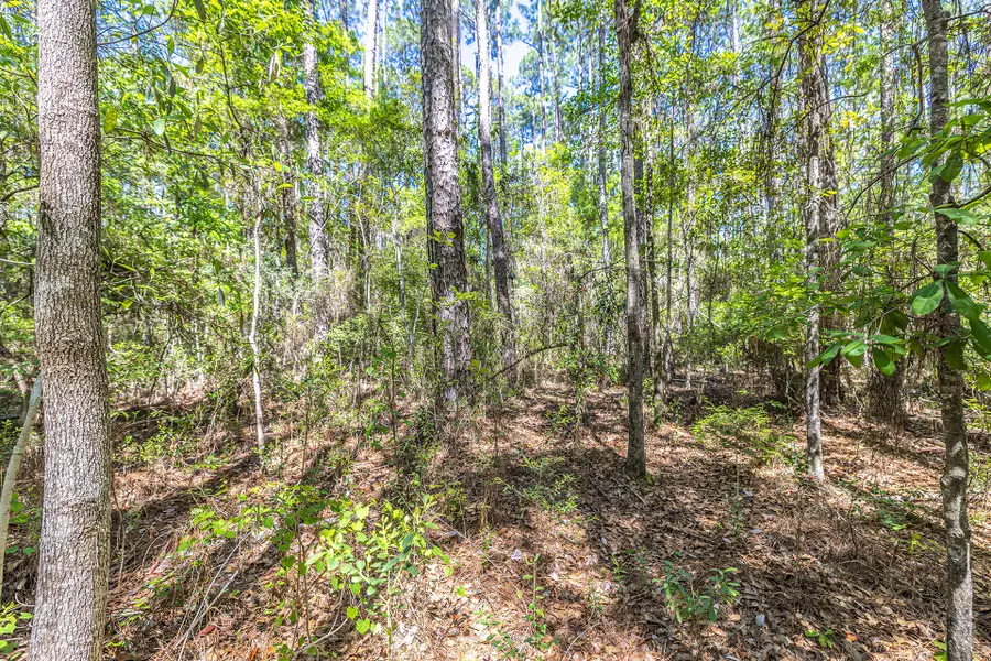 Lot 8 Mallet Road, Freeport, FL 32439 - #2