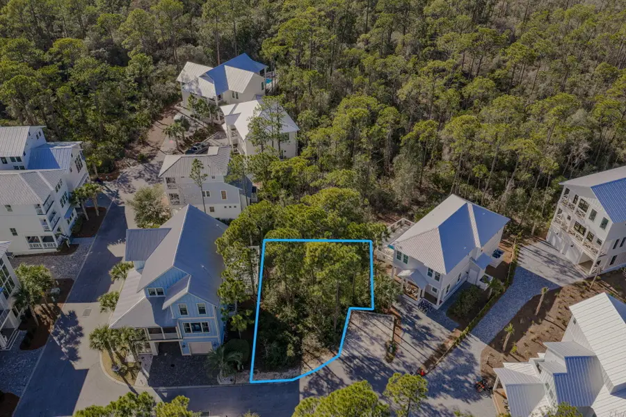 Lot 42 Treetop, Inlet Beach, FL 32461 - #2