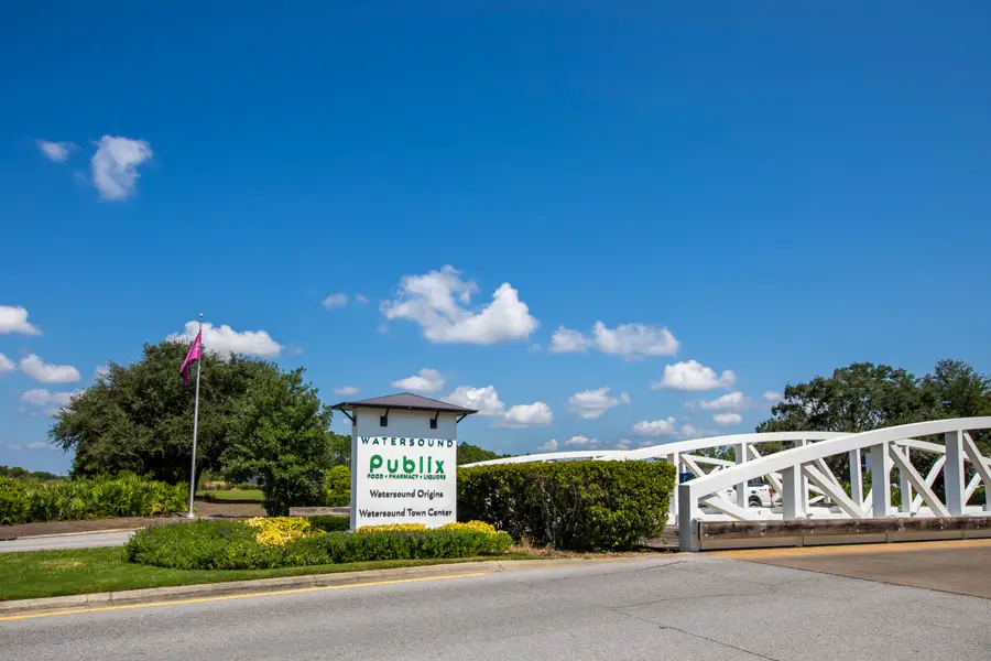 249 Pollard Cove East #Lot 90, Watersound, FL 32461 - #3