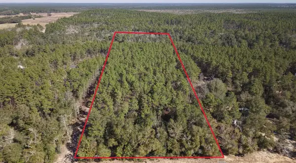 5 acres J W Hollington Road, Freeport, FL 32439
