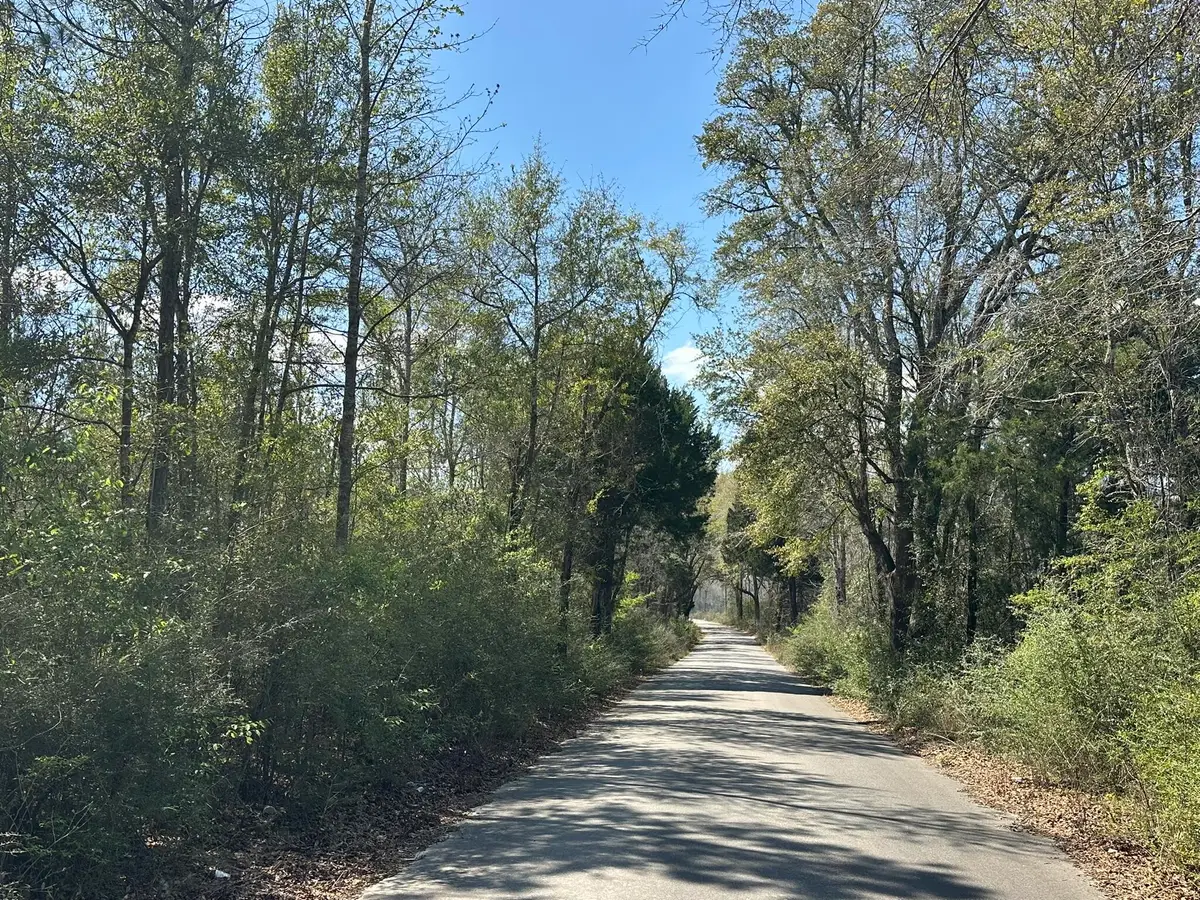 Tract#6336 Sand Path Road, Bonifay, FL 32425 - #1