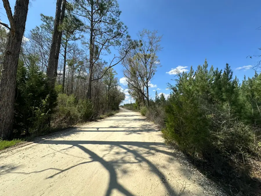 Tract#6336 Sand Path Road, Bonifay, FL 32425 - #3