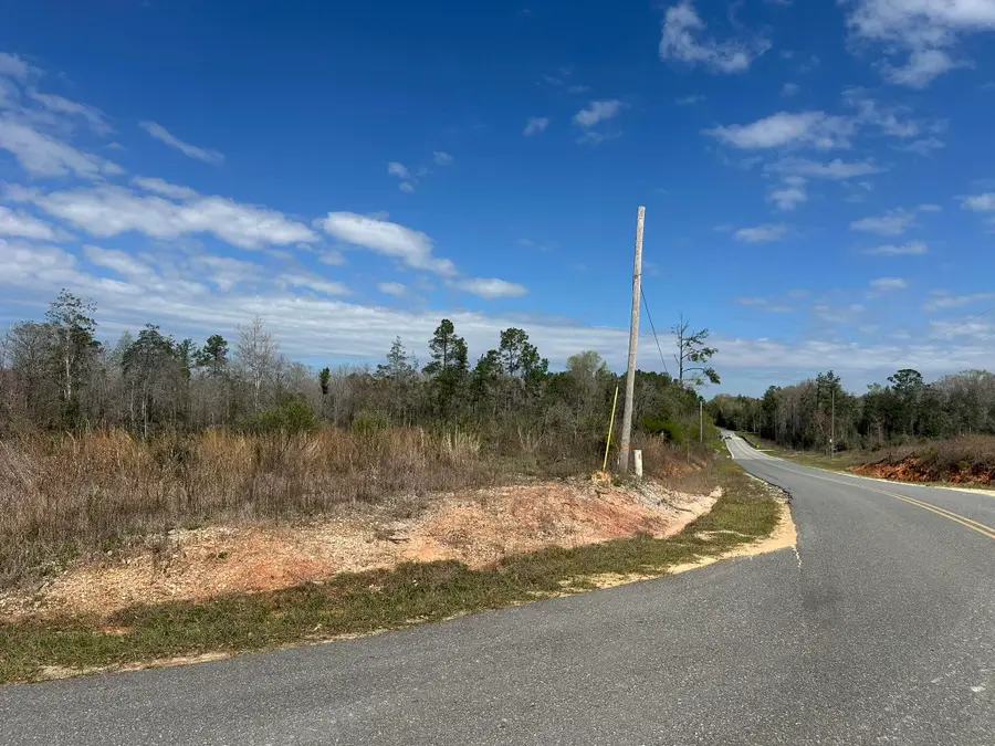 Tract#6409 Davis Road #River Road, Caryville, FL 32427 - #2