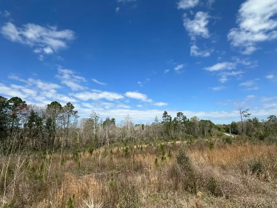 Tract#6409 Davis Road #River Road, Caryville, FL 32427 - #3