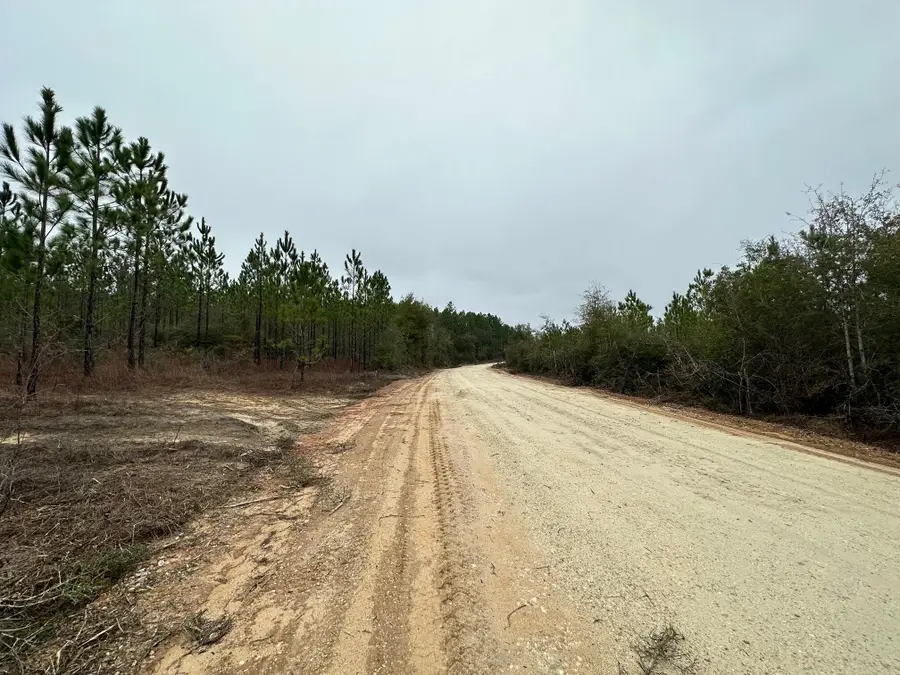 Tract#6418 S Mattox Springs Road #S1, Caryville, FL 32427 - #3