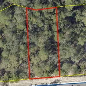 TBD Spirit Bear Way #Lot 38, Blk C, Freeport, FL 32439