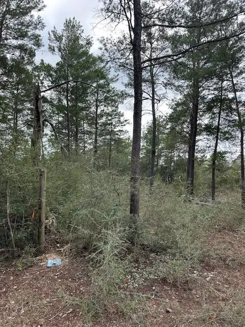 Lot 9 E Fernwood Court, Defuniak Springs, FL 32433 - #2