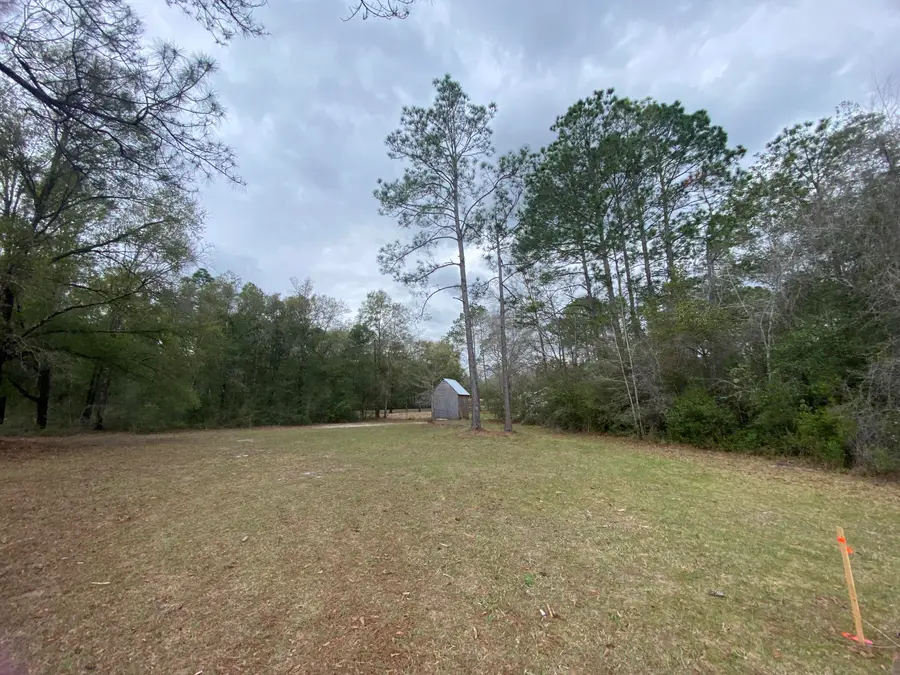 XX Gilmore Road, Holt, FL 32564 - #2