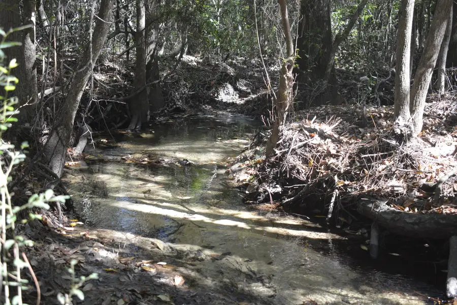 xxx Aplin (32 Ac.) Road, Crestview, FL 32539 - #3