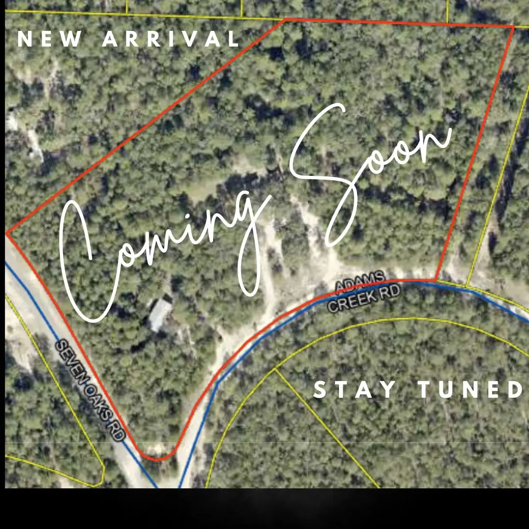 87 Adams Creek Road, Defuniak Springs, FL 32433 - #1