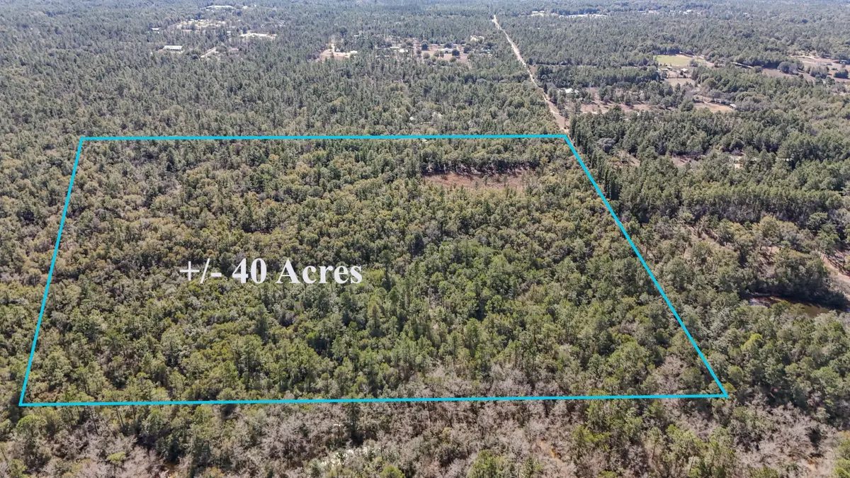 40 Ac Holly Tree Lane, Crestview, FL 32539 - #1