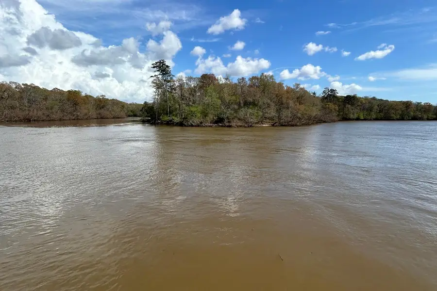 338 Howell Bluff Road, Ponce De Leon, FL 32455 - #2