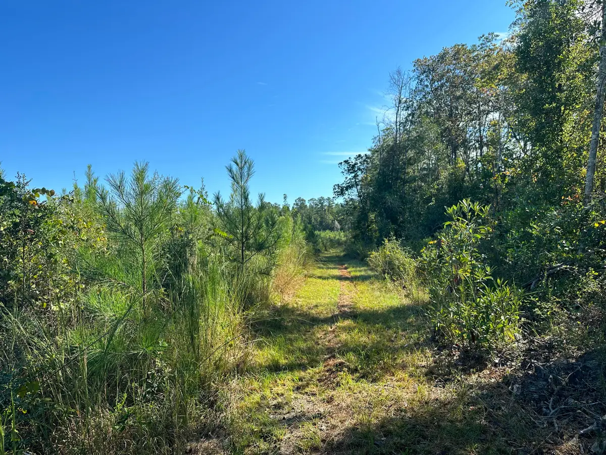 Parcel L Buck Tyner Road, Laurel Hill, FL 32567 - #1