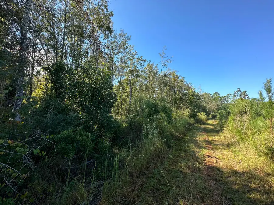 Parcel L Buck Tyner Road, Laurel Hill, FL 32567 - #3