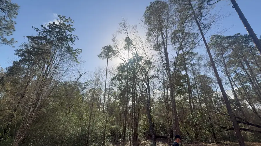 0 Native Creek Road, Milton, FL 32571 - #2