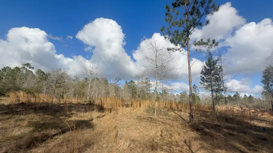 0 Native Creek Road, Milton, FL 32571 - #3