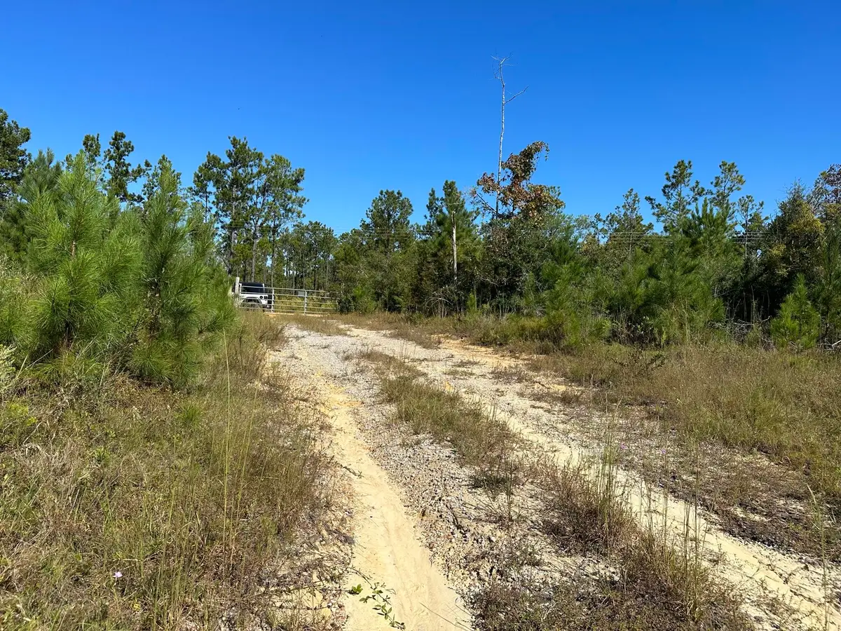 Parcel D2 Millside Road, Laurel Hill, FL 32567 - #1