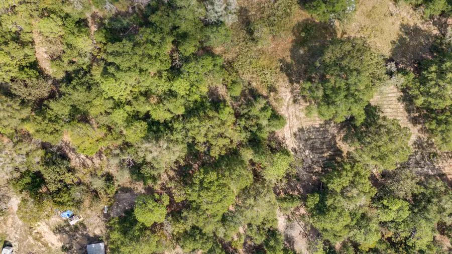 5751 Co Hwy 1087, Defuniak Springs, FL 32433 - #3