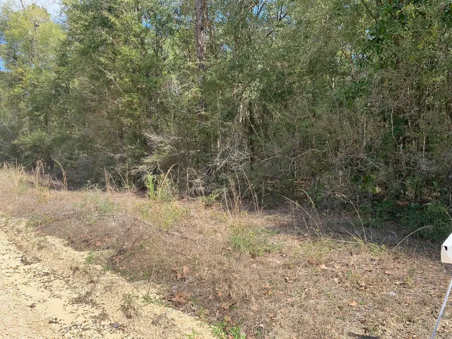 163 Tim Boland Road, Defuniak Springs, FL 32435 - #2