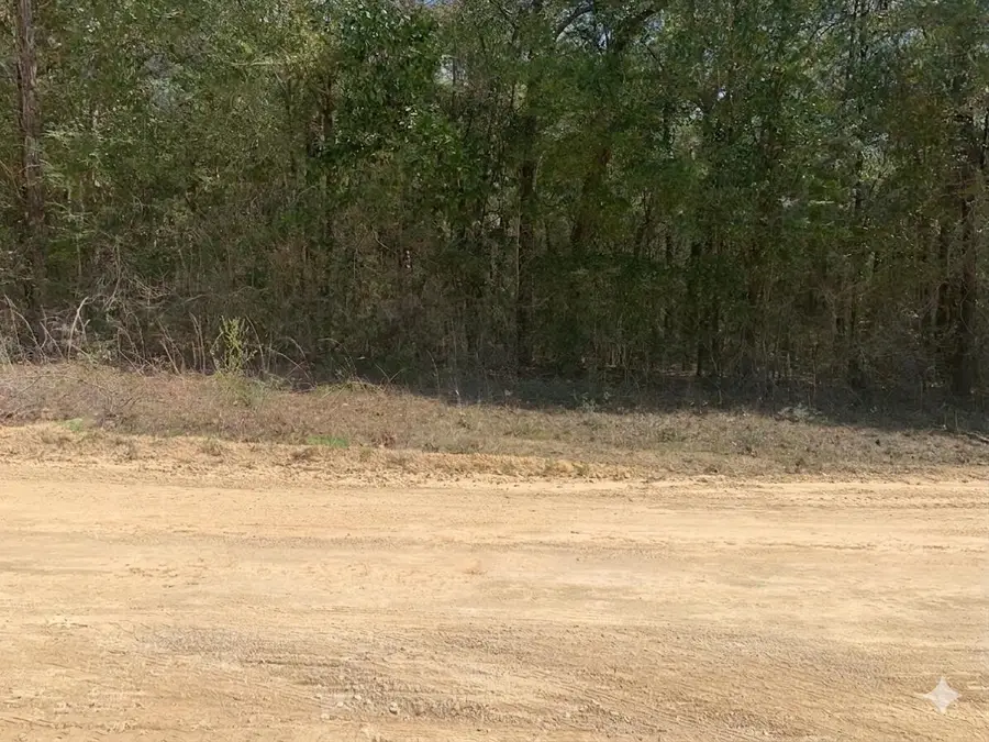 163 Tim Boland Road, Defuniak Springs, FL 32435 - #3