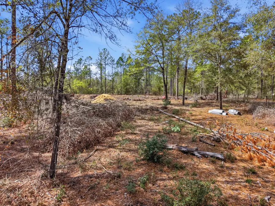TBD Clearwater Drive #LOTS 50 & 51, Defuniak Springs, FL 32433 - #2