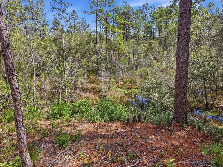 TBD Clearwater Drive #LOTS 50 & 51, Defuniak Springs, FL 32433 - #3