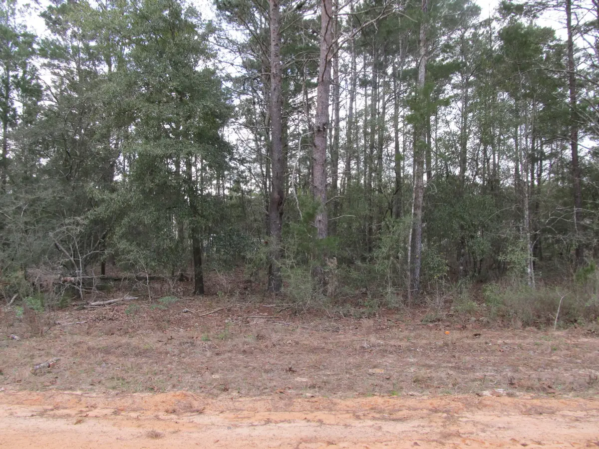 Lot 6 Jonquil West Avenue, Defuniak Springs, FL 32433 - #1