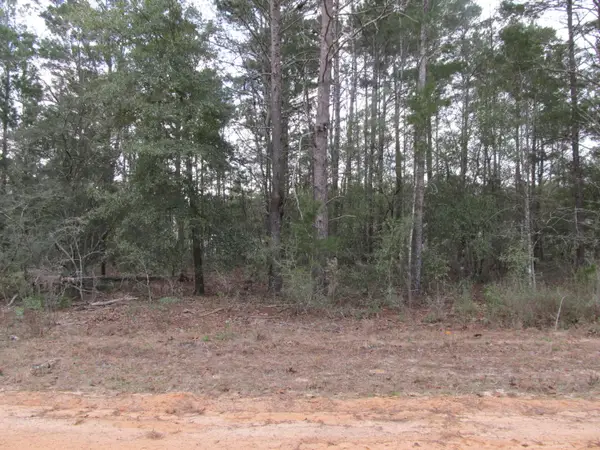 Lot 6 Jonquil West Avenue, DeFuniak Springs, FL 32433