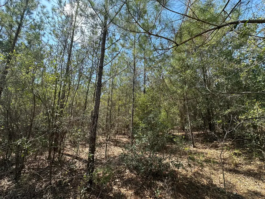 Tract#6421 Nw Clayton Road, Bonifay, FL 32425 - #3