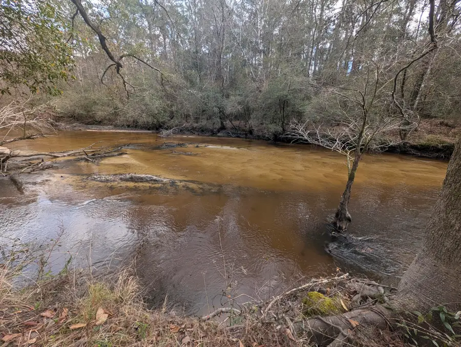 Lot 9 Plantation Lane, Defuniak Springs, FL 32433 - #3