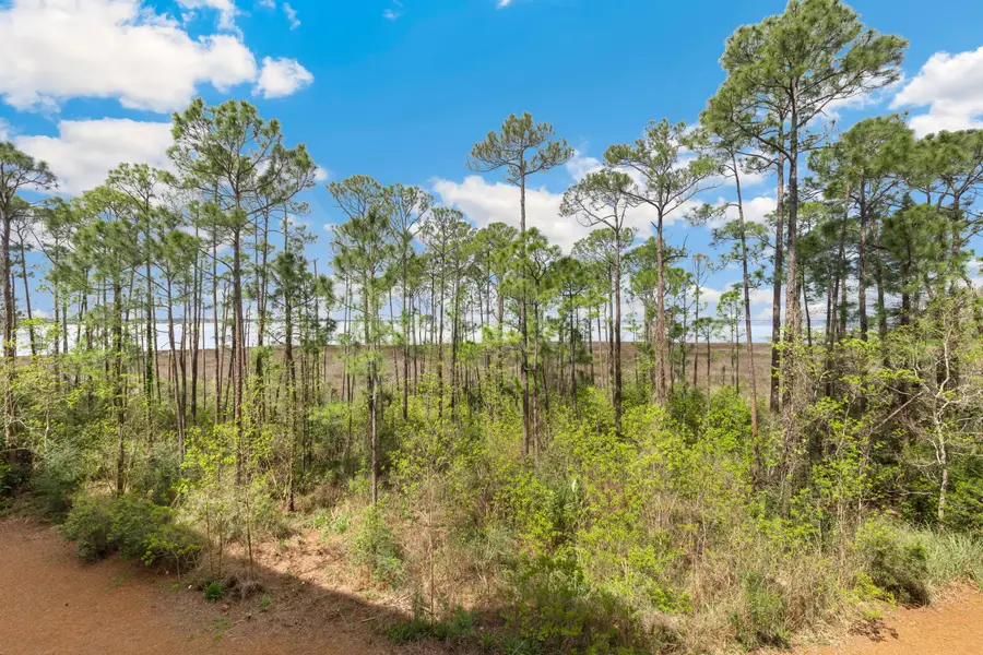 9700 Grand Sandestin Boulevard #4218/4220, Miramar Beach, FL 32550 - #2