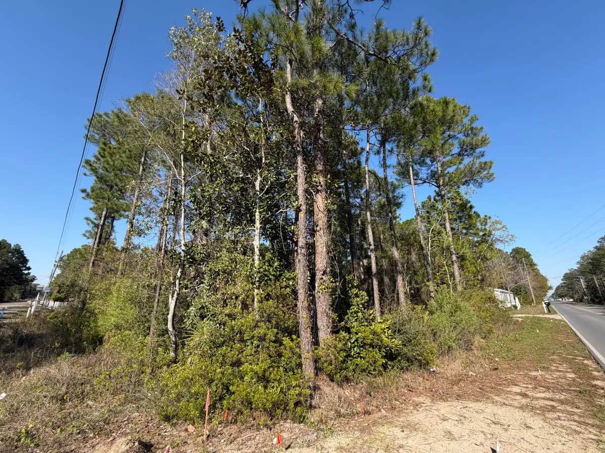 Lot 13 13th Street, Santa Rosa Beach, FL 32459 - #1