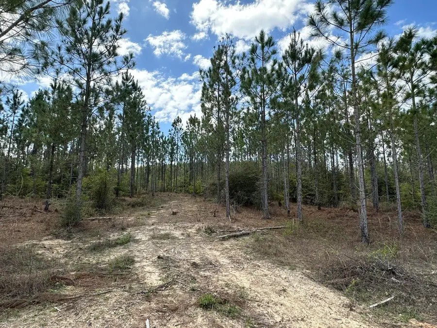 Tract#6418 Mattox Springs Road #S2, Caryville, FL 32427 - #2