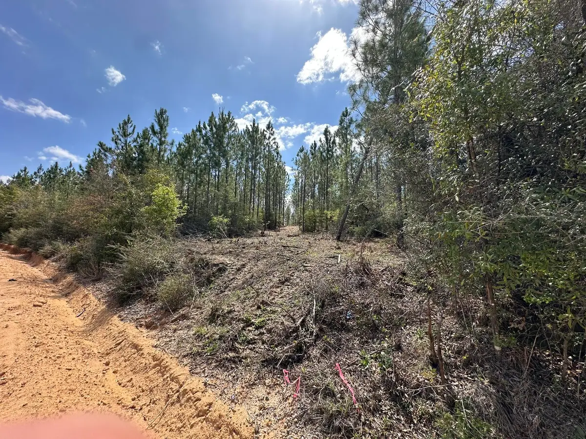 Tract#6418 Mattox Springs #South 3, Caryville, FL 32427 - #1