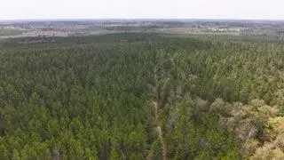 Tract#6418 Mattox Springs #South 3, Caryville, FL 32427 - #2