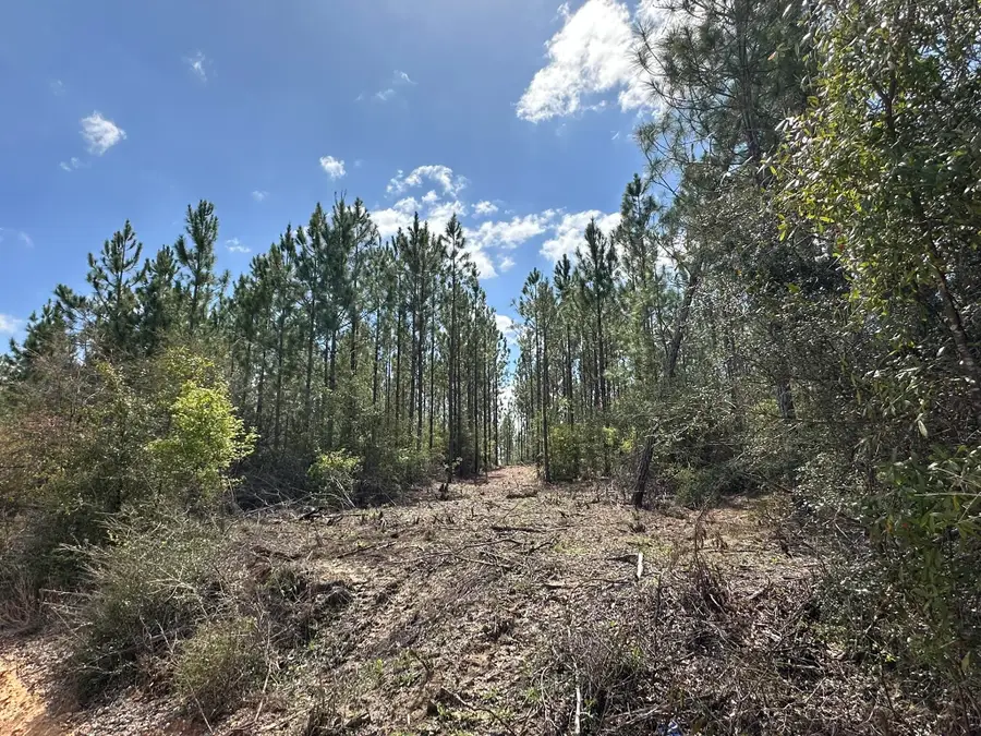 Tract#6418 Mattox Springs #South 3, Caryville, FL 32427 - #3