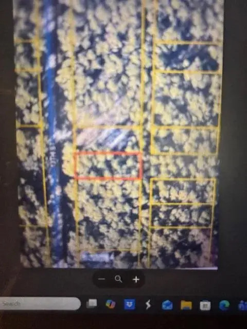 Lot 17 13th Street, Santa Rosa Beach, FL 32459 - #1