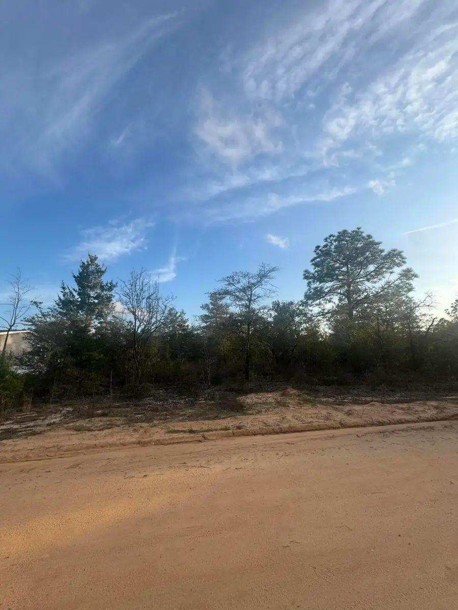 XXX Juniper Avenue, Defuniak Springs, FL 32433 - #3