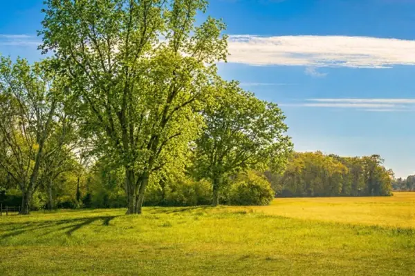 TBD Vinson Ray Road, Baker, FL 32531