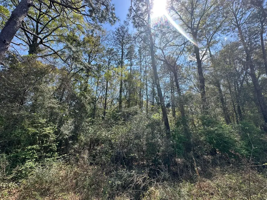 Parcel B Holloway Road, Baker, FL 32531 - #2