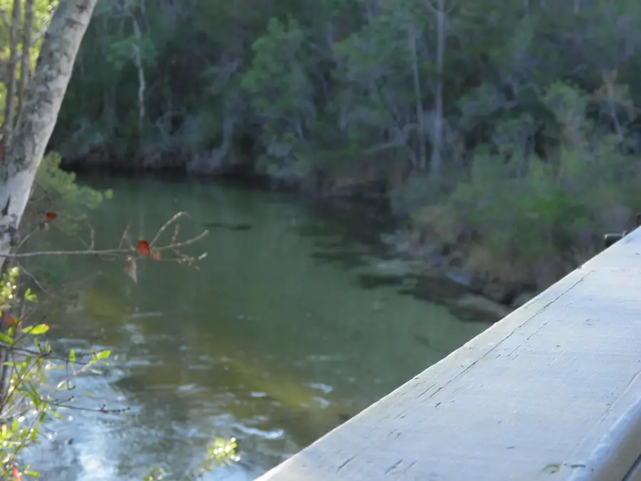 121 Big Oaks Lane, Niceville, FL 32578 - #2