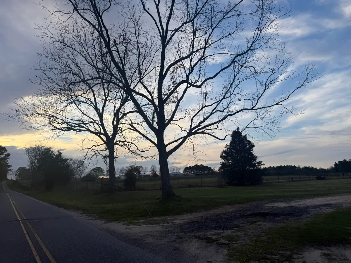 1716 Hub Presley Road, Laurel Hill, FL 32567 - #1