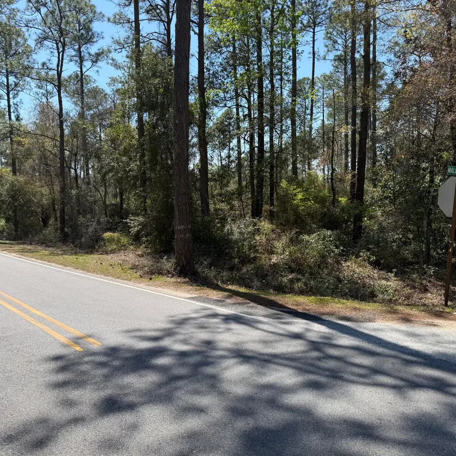 Lots 9-10 Mallet Road, Freeport, FL 32439 - #3