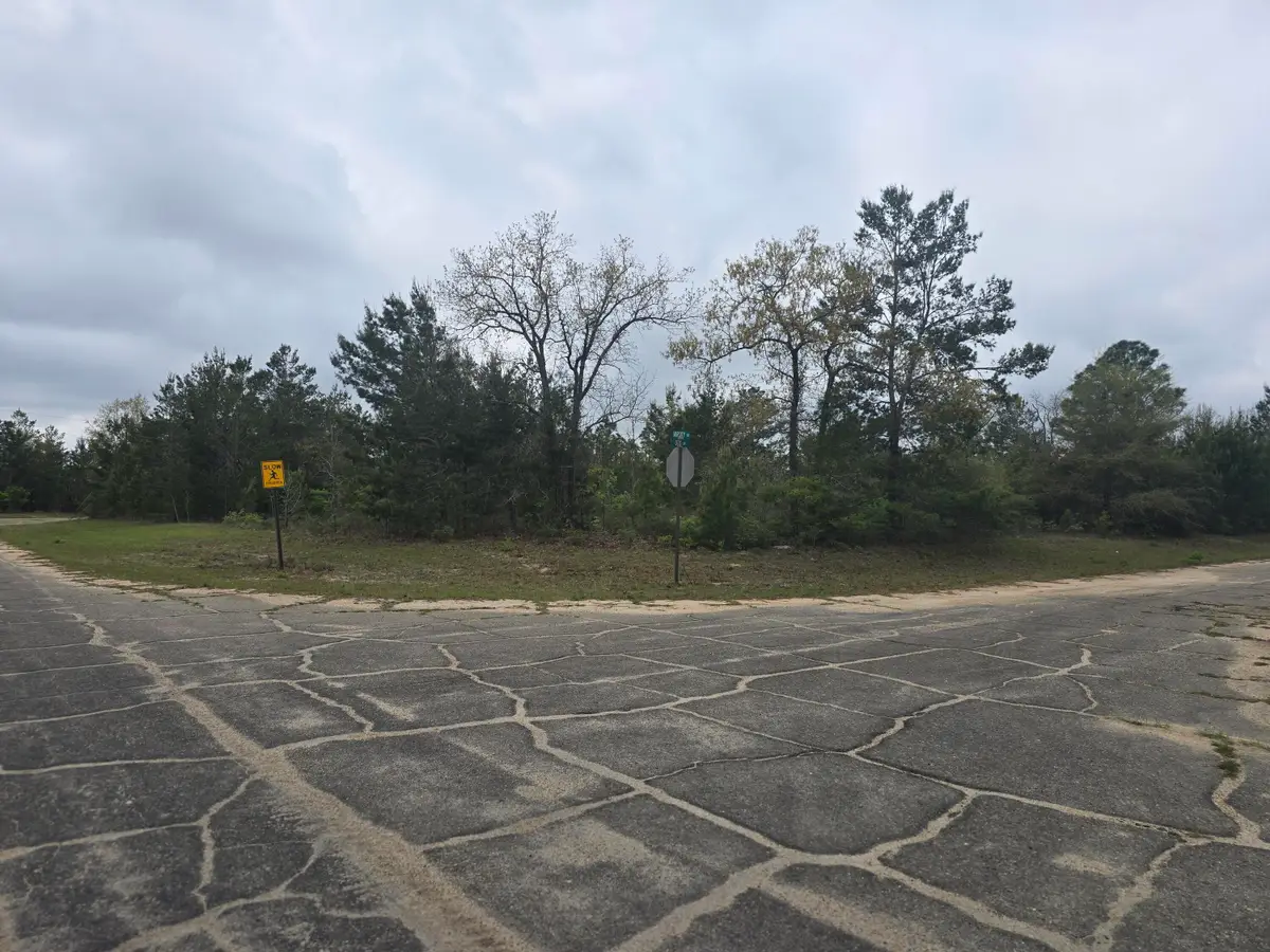 TBD Otis Lane, Chipley, FL 32428 - #1