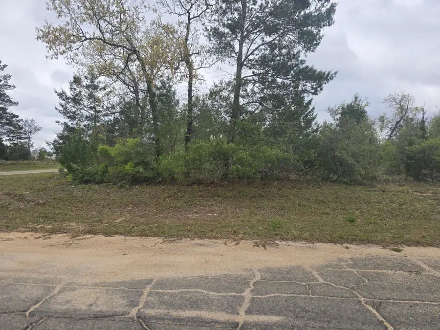 TBD Otis Lane, Chipley, FL 32428 - #3