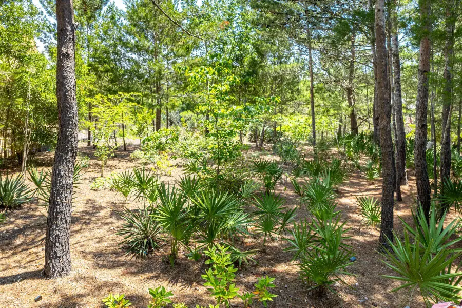 Lot 7 Shore Bridge Circle, Watersound, FL 32461 - #3